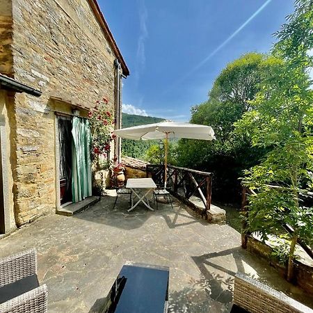Il Colle - Apartment Gelso San Godenzo 外观 照片
