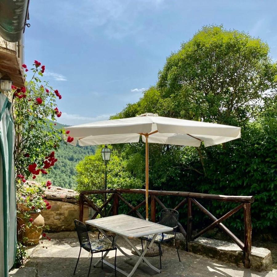 Il Colle - Apartment Gelso San Godenzo 外观 照片