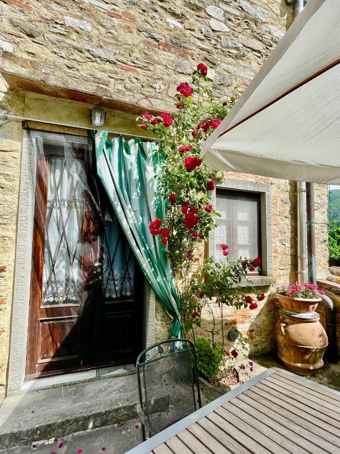 Il Colle - Apartment Gelso San Godenzo 外观 照片